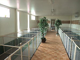 犬舎内部の様子