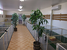犬舎内部の様子